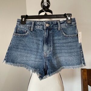 PacSun new with tags high rise festival short in a size 25